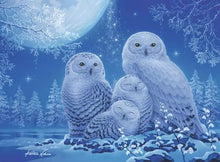 Casse-tête - Chouettes au clair de lune (500 pcs)