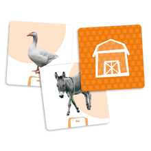 Nouveauté - 10% de rabais - Les animaux (extension du dé des premiers mots)