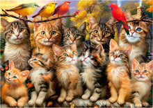 Casse-tête (500 pcs) - Chatons et oiseaux