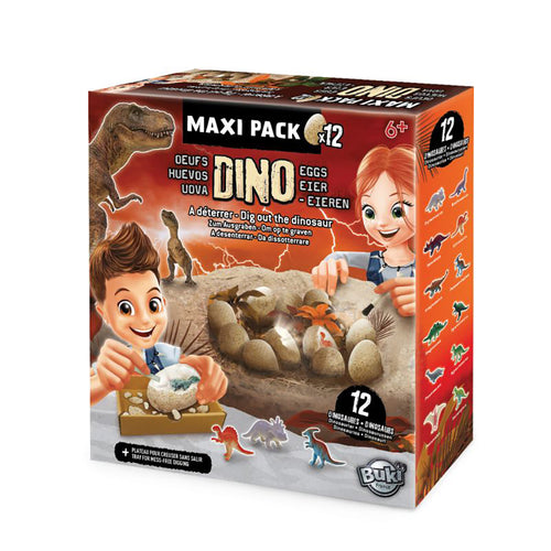 Buki - Maxi pack Oeuf Dino