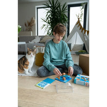 Jeu de logique - Chats tournent pas rond