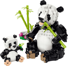 LEGO - Creator - Les animaux sauvages : la famille de pandas