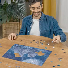 Casse-tête - Chouettes au clair de lune (500 pcs)