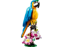 LEGO - Creator - Le perroquet exotique