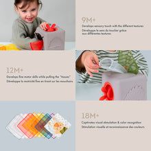 Taf Toys - Boîte à mouchoirs pop-up
