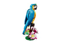 LEGO - Creator - Le perroquet exotique