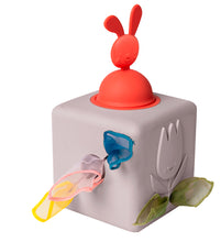 Taf Toys - Boîte à mouchoirs pop-up