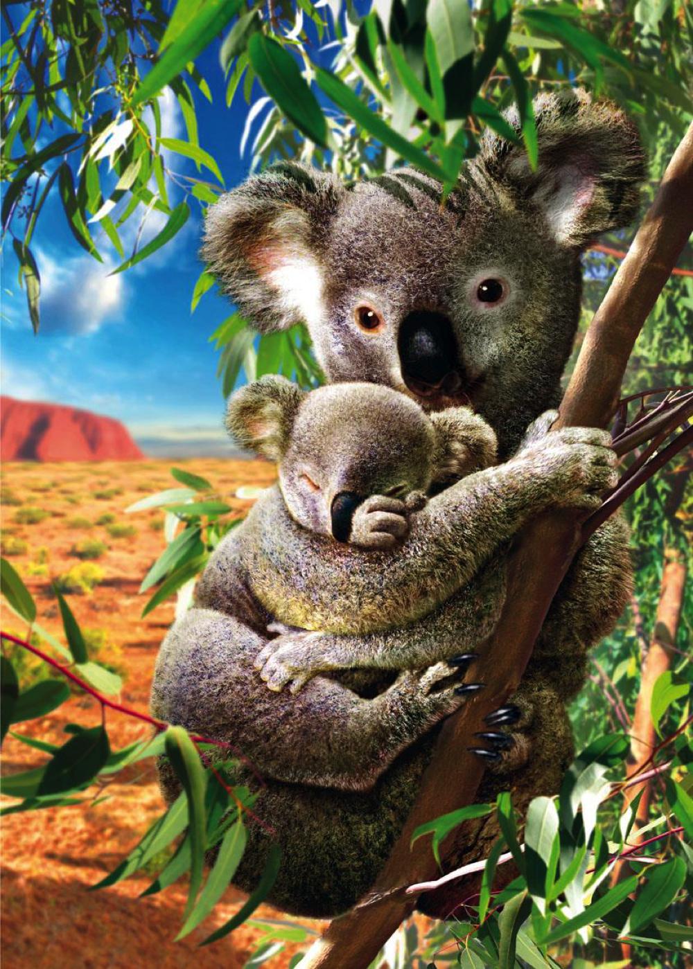 Casse-tête (500 pcs) - Maman koala & son bébé